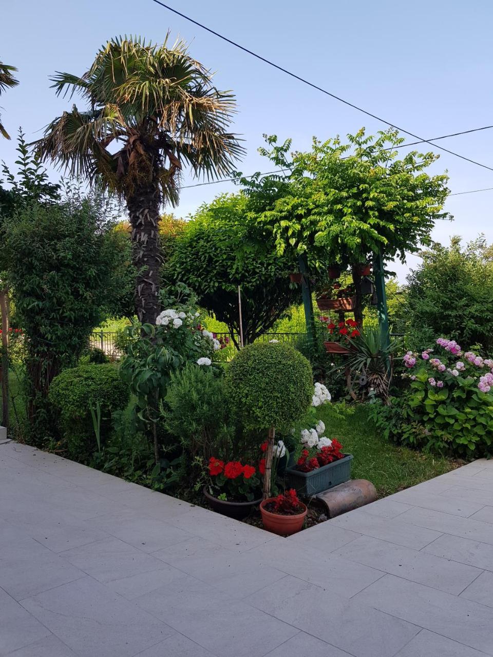 Villa Ivana Labin  Exterior photo